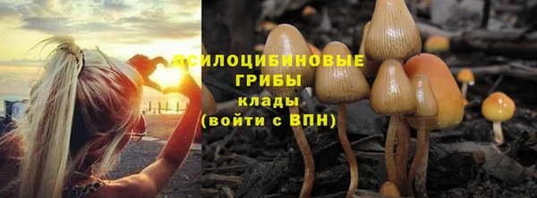 герыч Бугульма