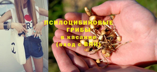 скорость Бронницы