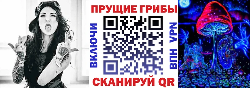 хочу   Любань  KRAKEN как зайти  Псилоцибиновые грибы GOLDEN TEACHER 